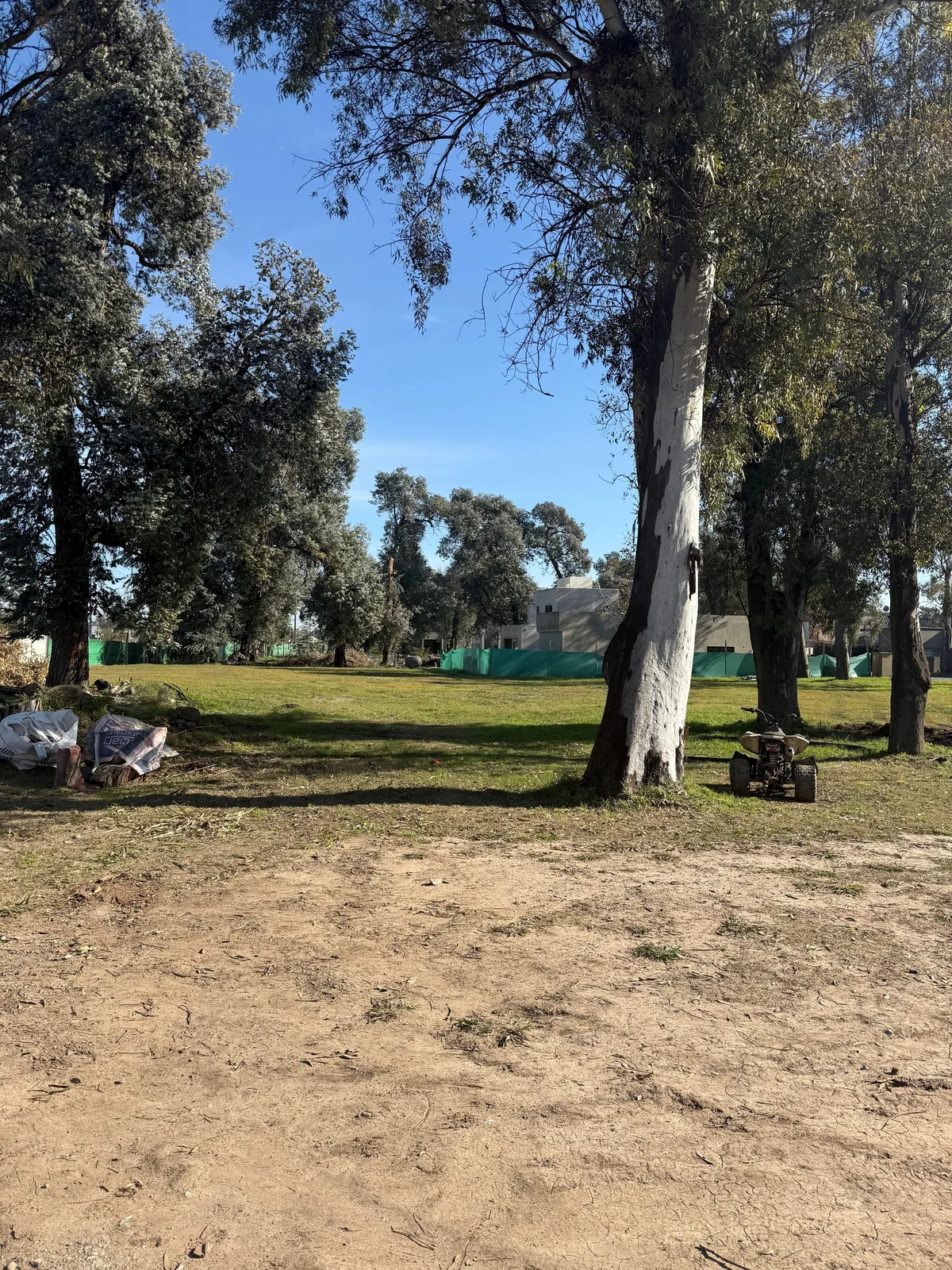 Imagen de Álvarez del Bosque