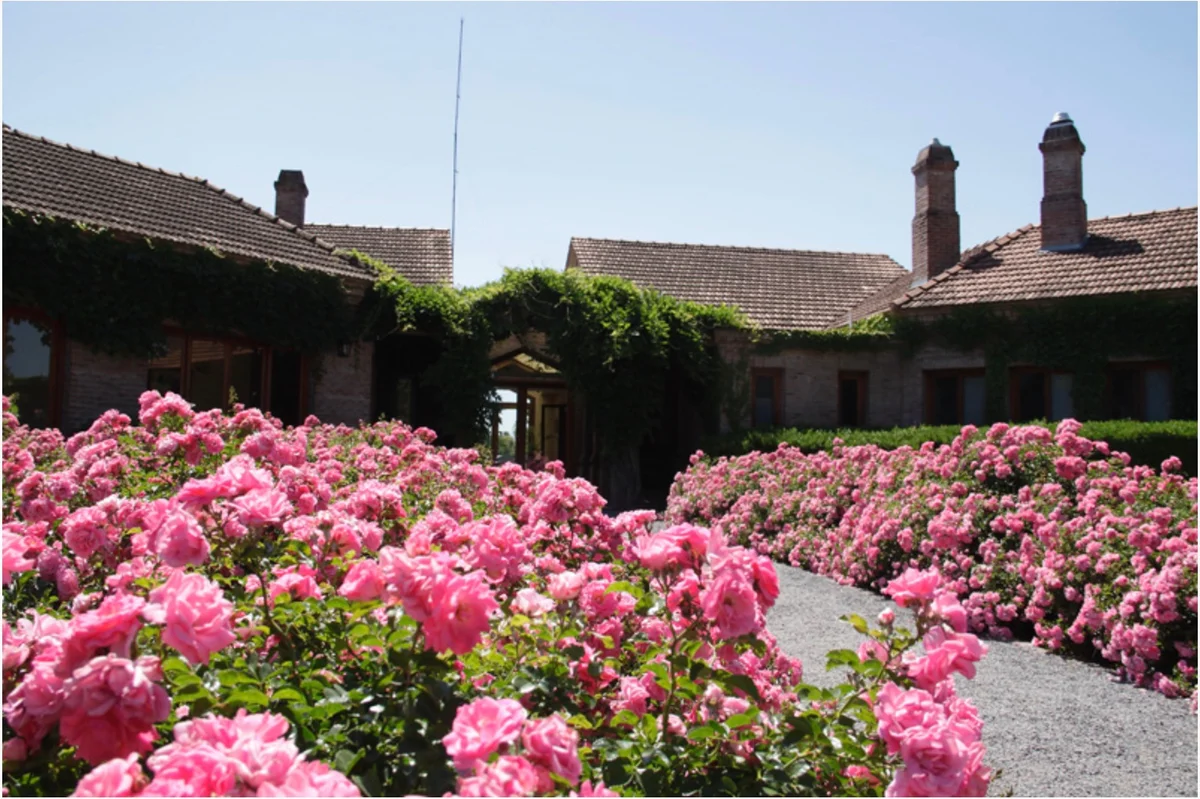 Imagen de Club de Campo Los Pingüinos